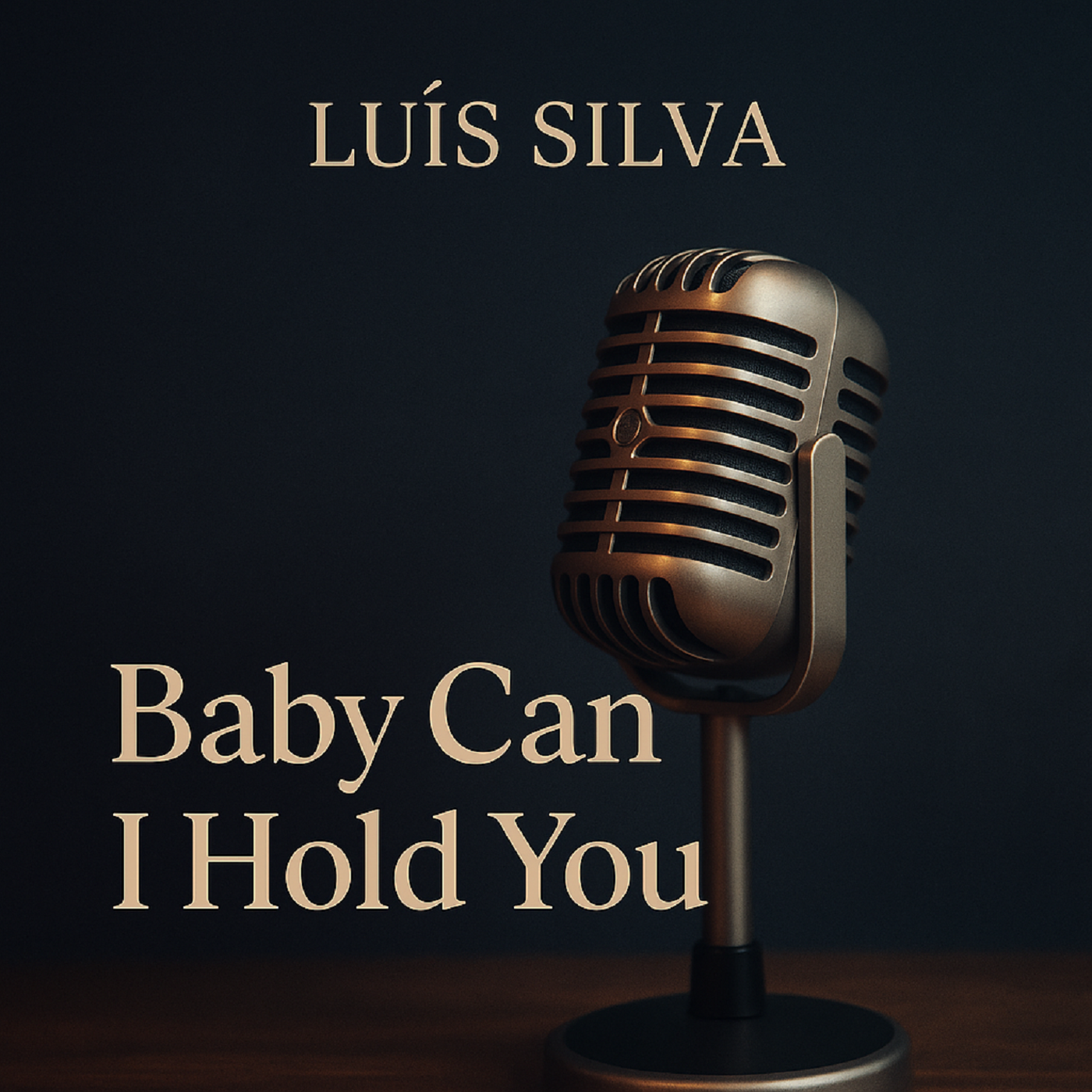 Capa - Babe can I Hold You